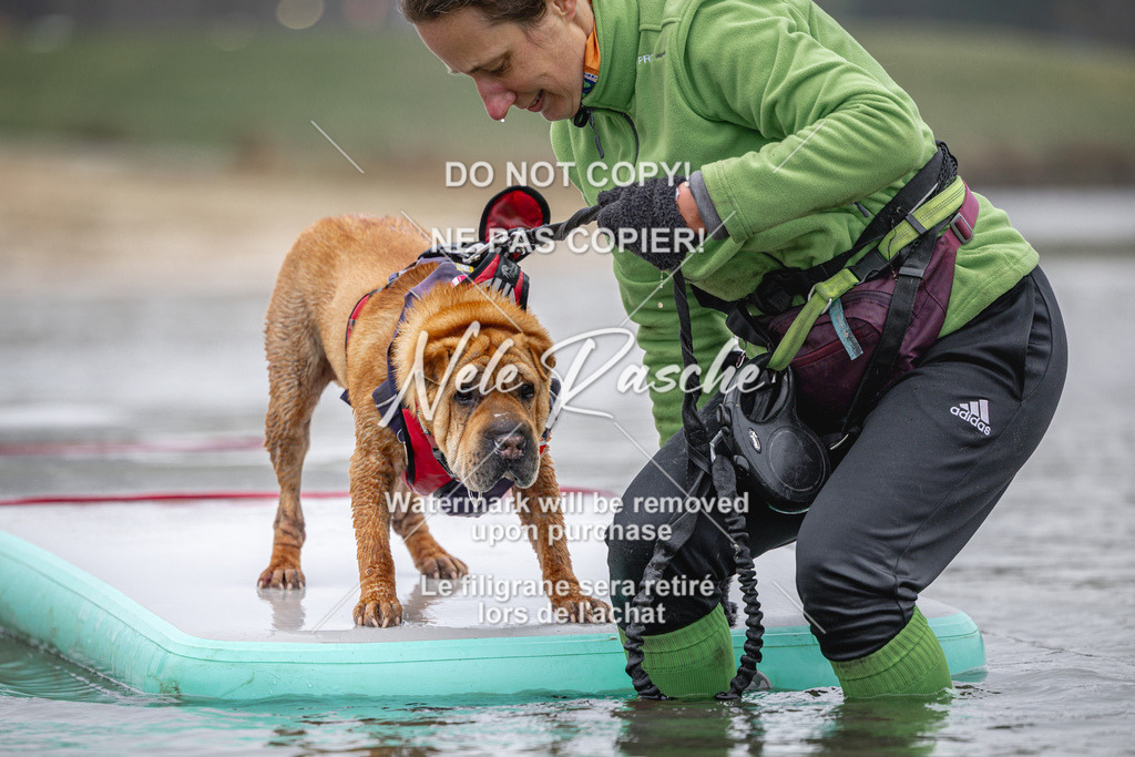 nelerasche_Hulsbeek_Sa1030-1100_735 | nelerasche