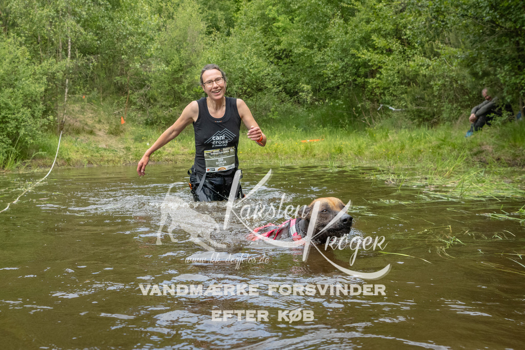 1102DKK994024 | kk-dogfotos
