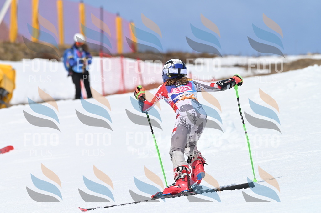 BGV_3145 | holidayphoto