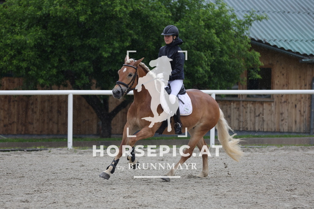 0P6A7643 | Willkommen bei Brunnmayr - Design & Fotografie – Ihrem Spezialisten für Reitturniere und Pferdeveranstaltungen in Oberösterreich, Salzburg und Bayern! Seit über 17 Jahren sind wir leidenschaftlich dabei.