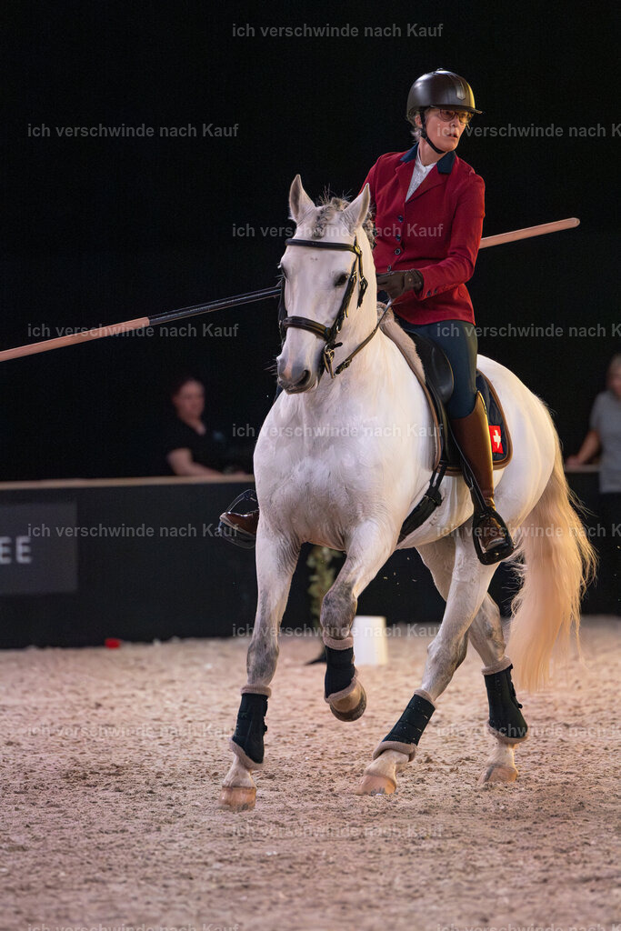 JoseraCup-111 | working equitationturnier fotograf videograf stoibphotography marixx film working equitation deutschland reitsport turnierfotografie eventfotografie equestrian events