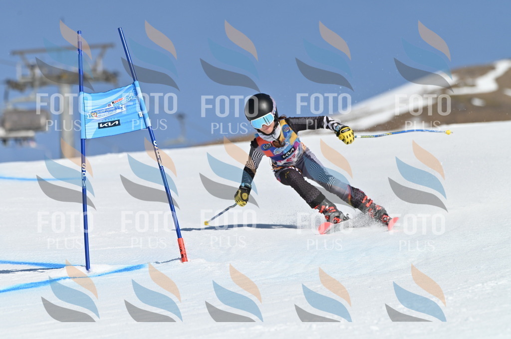 BGV_8095 | holidayphoto