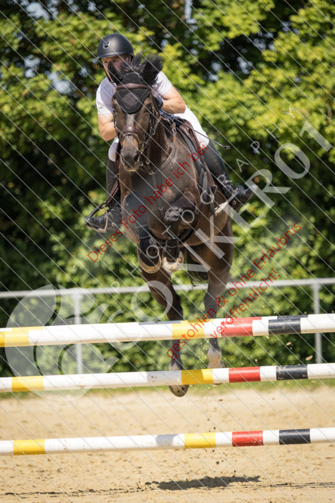 IMG_9809 | Sport-, Event- und Tierfotos in Profiqualität. Einfach auswählen, bestellen und herunterladen. Dein Moment – perfekt festgehalten.