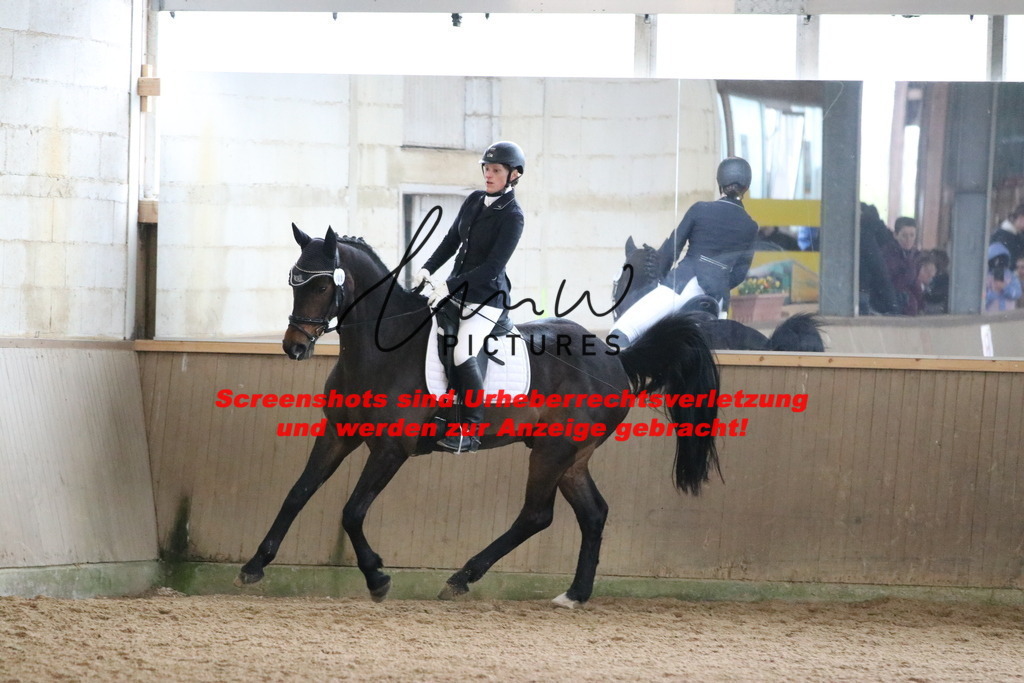 IMG_8401 | lmwpictures - Realisiert mit Pictrs.com