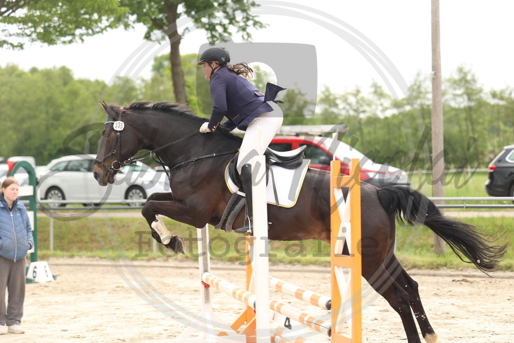 994A8937 | sabrinanicolaifotografie - Realisiert mit Pictrs.com