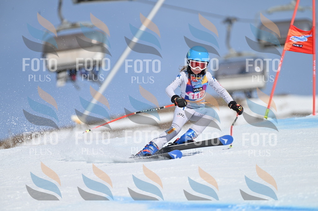 BGV_9659 | holidayphoto