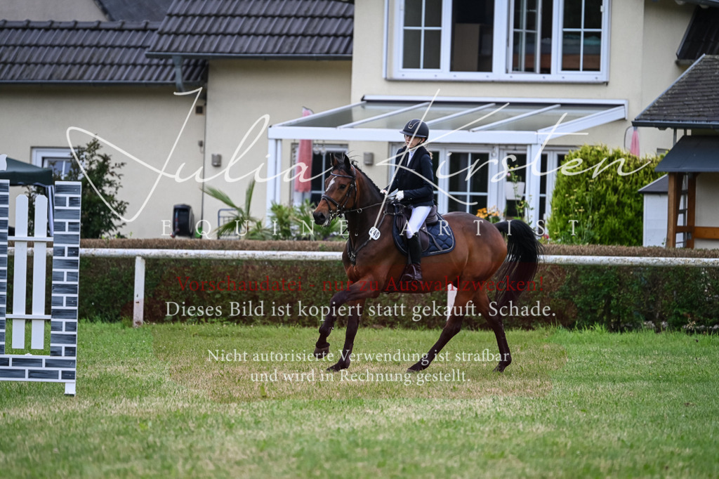 DSC_8465 | Pferde- und Turnierfotografie in Westsachsen. Pferdeportraits, Auftragszeichnungen und intuitive Kunst.