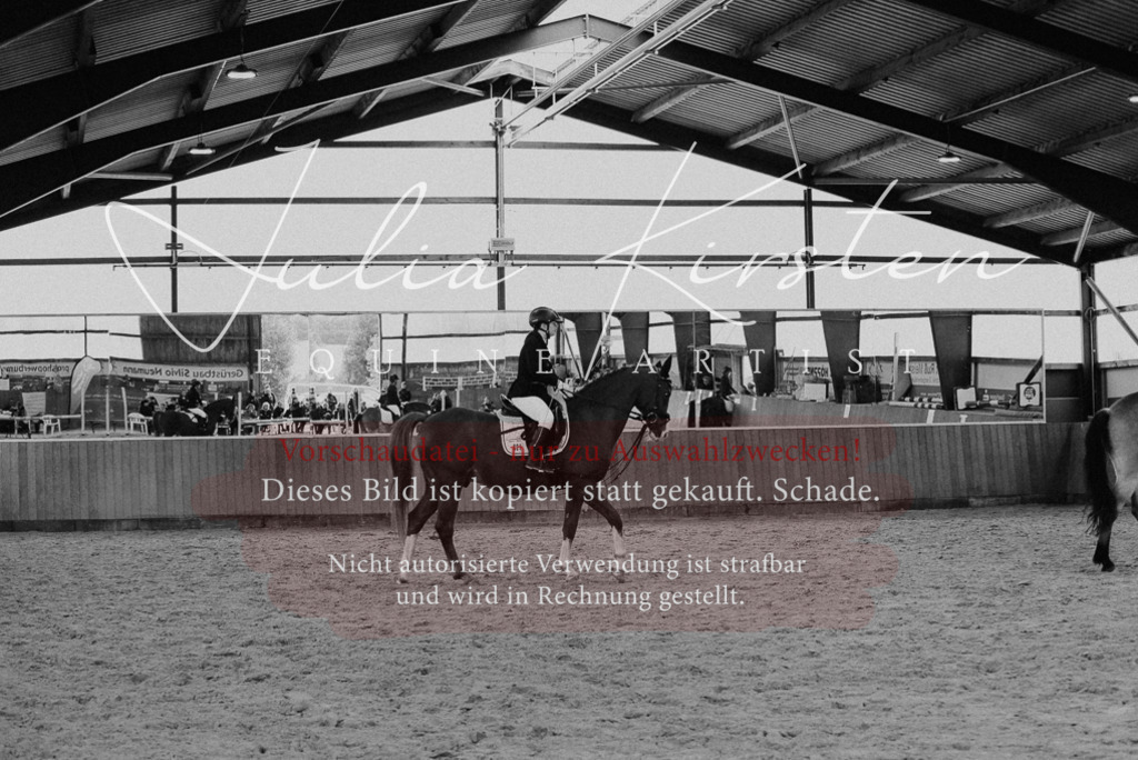 DSC_7318 | Pferde- und Turnierfotografie in Westsachsen. Pferdeportraits, Auftragszeichnungen und intuitive Kunst.