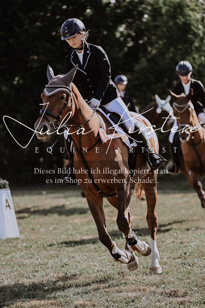 DSC_9536 | Pferde- und Turnierfotografie in Westsachsen. Pferdeportraits, Auftragszeichnungen und intuitive Kunst.
