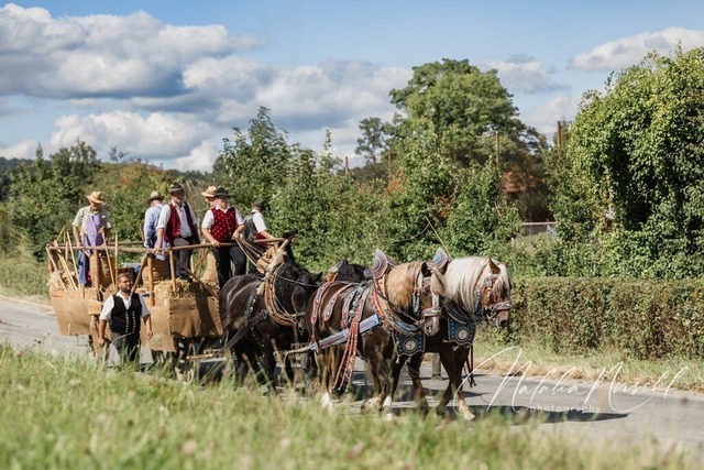 7V6A2019 | natalia-nirschl-photography