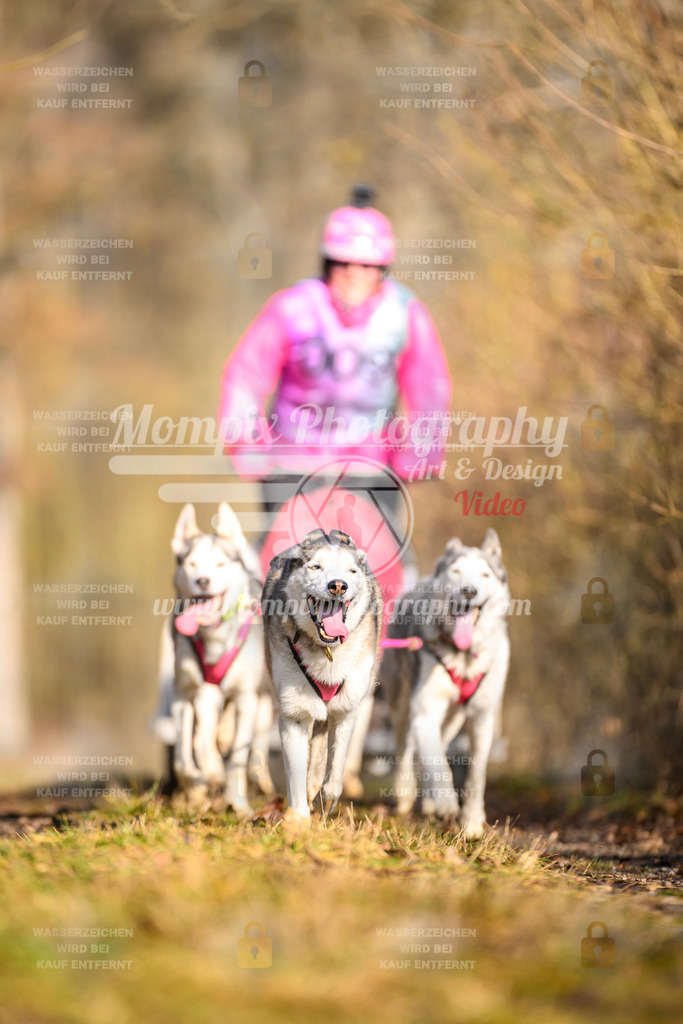 MompixPhotography_Schwabentrail2025_SO_Kart-15 | PayLife