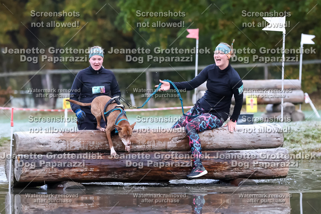 Dog Paparazzi - Strongdog 10-25-6083 | Dog Paparazzi Jeanette Grottendiek Fotografie & Videografie - Realisiert mit Pictrs.com