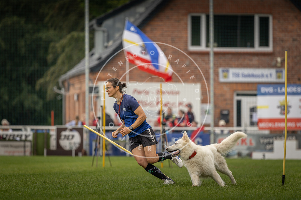 Pfotenfotografie_DV3A7928 | Hundefotografie, Tierfotograf, Pfotenfotografie, Fotoshooting Hund, Hunde Portrait, Hundesport, Hundeportraits, Heideshooting, Hunde, Sportfotograf, Hundefotograf, Turnierhundsport, THS,  - Realisiert mit Pictrs.com