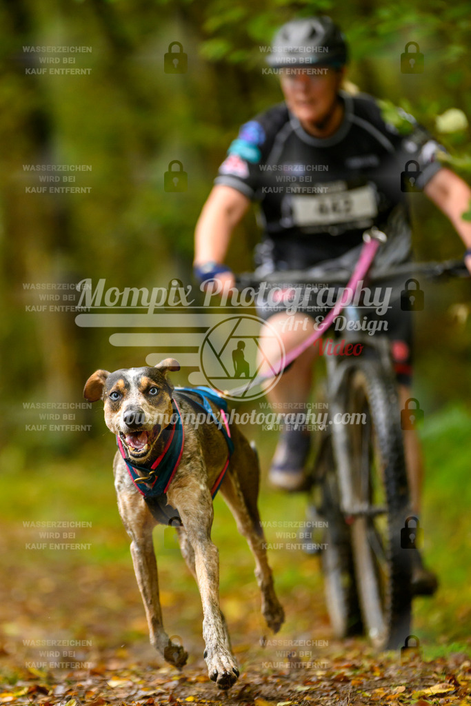 MompixPhotography_20TSB_E1_Doppel-29 | PayLife