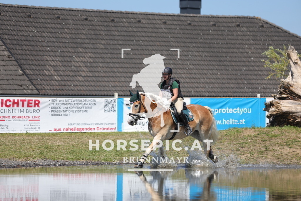0P6A3763 | Willkommen bei Brunnmayr - Design & Fotografie – Ihrem Spezialisten für Reitturniere und Pferdeveranstaltungen in Oberösterreich, Salzburg und Bayern! Seit über 17 Jahren sind wir leidenschaftlich dabei.