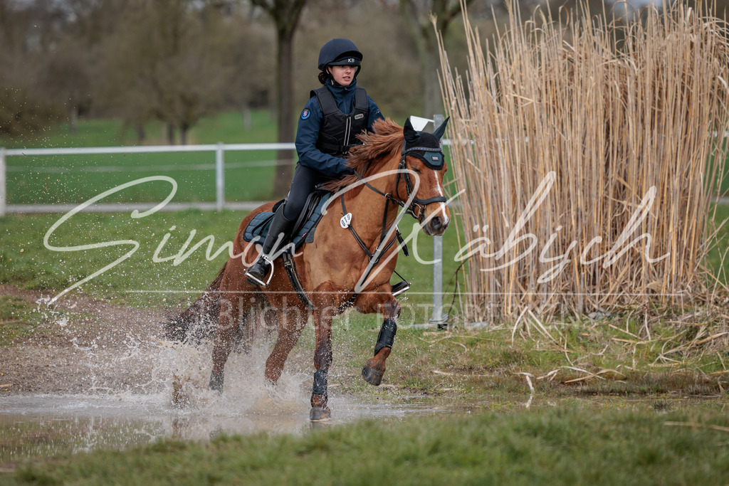 20260329-_3LI4427 | Tierfotografie Pferde, Hunde, Katzen, Haustiere.
Turnierfotografie Reitturniere, Reiten, Springreiten, Dressur in Hanau, dem Main-Kinzig-Kreis und dem Rhein-Main- Gebiet um Frankfurt