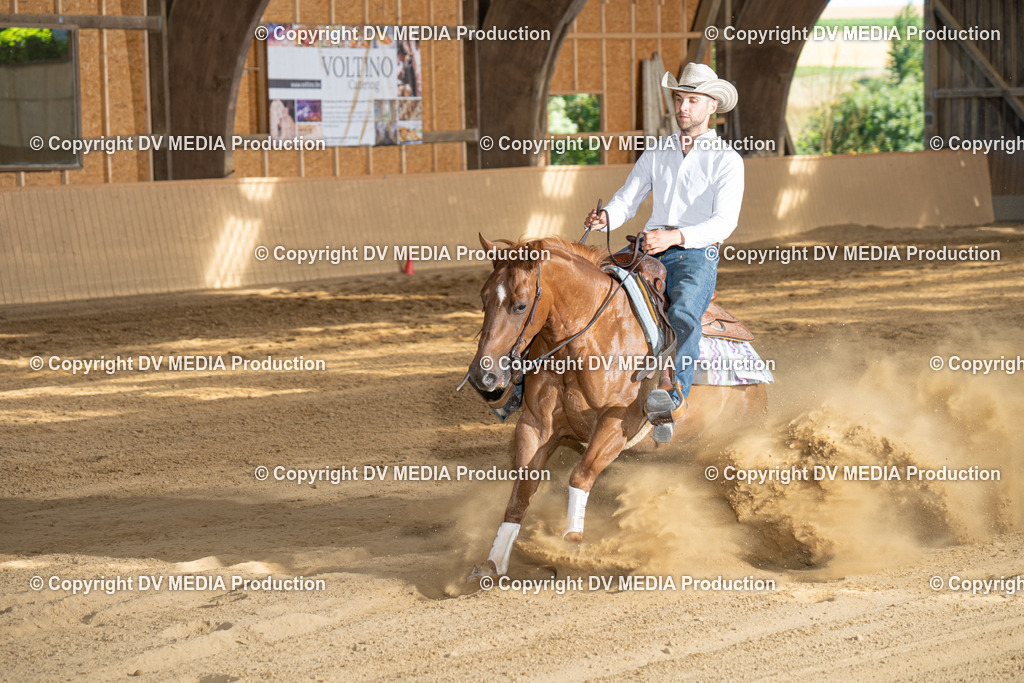 DSC00346 | dv-media-shop - Realisiert mit Pictrs.com