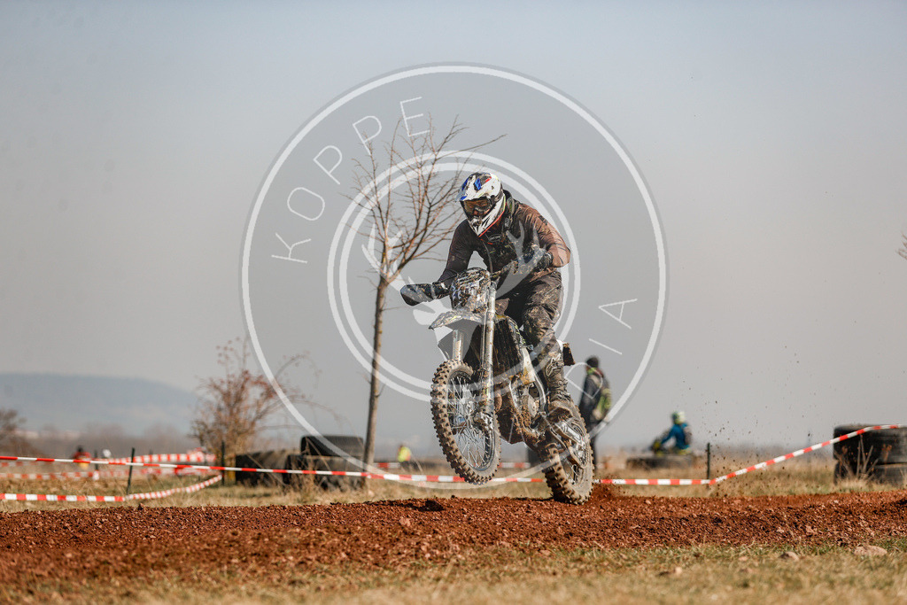 IGE-Lauf4-210 | koppe-media - Realisiert mit Pictrs.com