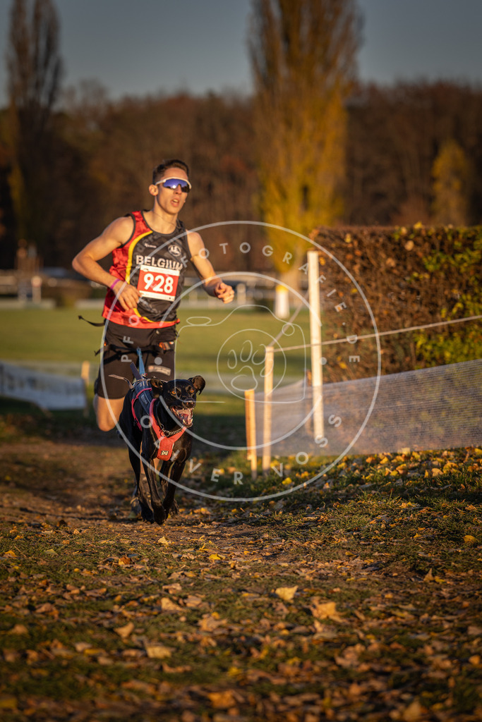 CaniXpix_DV3A5104 | Hundefotografie, Tierfotograf, Pfotenfotografie, Fotoshooting Hund, Hunde Portrait, Hundesport, Hundeportraits, Heideshooting, Hunde, Sportfotograf, Hundefotograf, Turnierhundsport, THS,  - Realisiert mit Pictrs.com