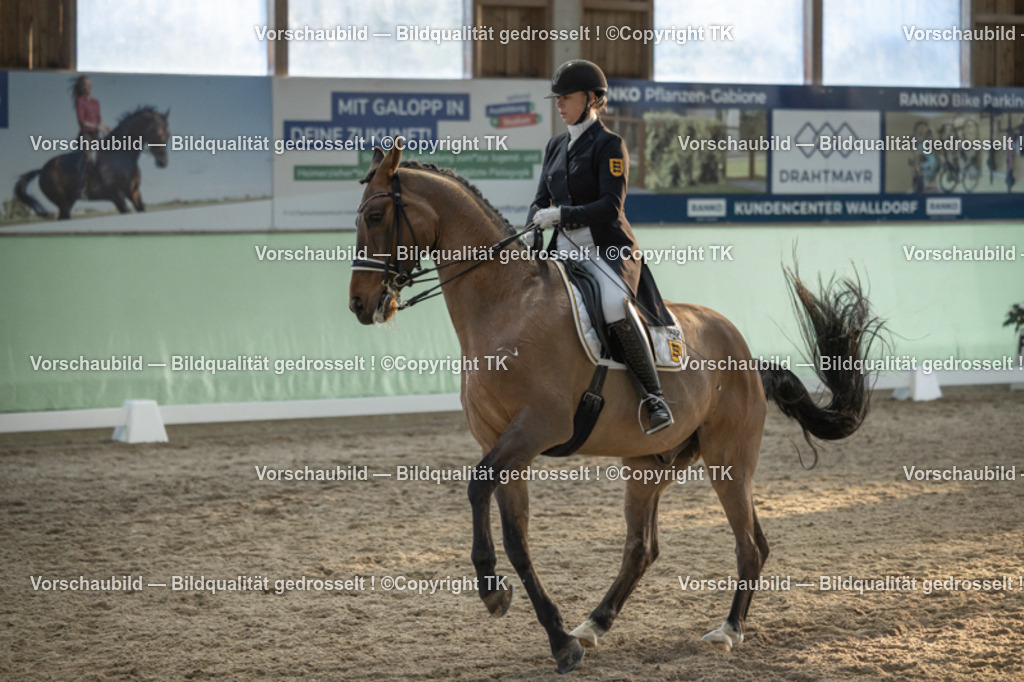 _D5A0908 | Emotionale Pferde- & People-Fotografie rund um Heidelberg, Leimen & Umgebung. Natürliche Fotos von Pferd, Mensch & Familie. Jetzt Termin sichern!