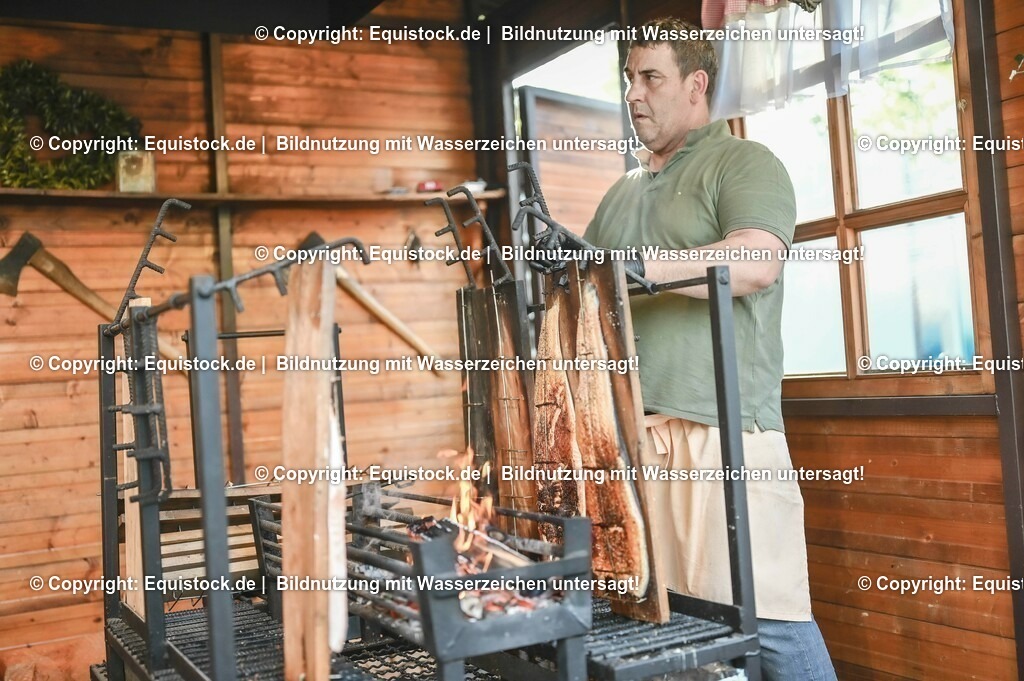 D78_3798 | equistock