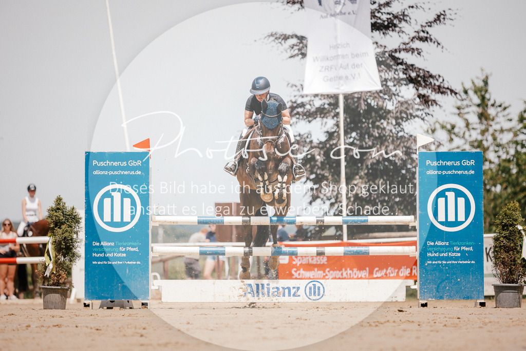 3I6A7782 | Stimmungsvolle Portraits und Reitsportfotografie im Ruhrgebiet und im Münsterland.

Pferdefotografie, Hundefotografie, Tierfotografie, Reportagen, Portraits von Tier und Mensch, Turnierfotografie in Bochum, Recklinghausen, Marl, Haltern am See, Dülmen.. - Realisiert mit Pictrs.com