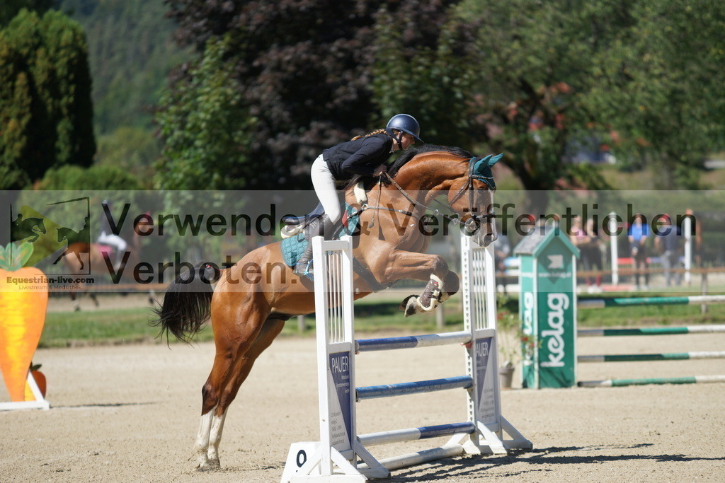 DSC07676 | equestrian-live-com