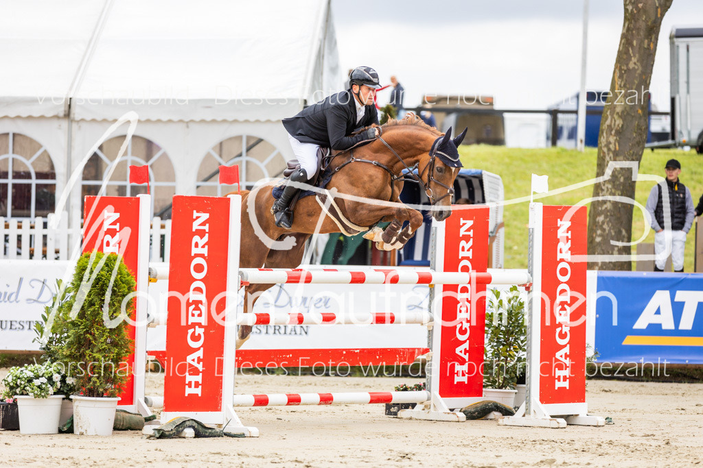 BHO-2PhSpr-M-5-2070 | MomenTaufnahmen Pferdesportfotos