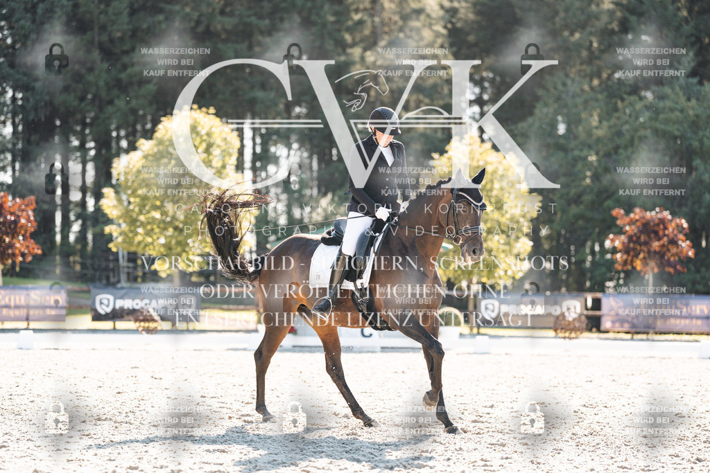 CK906390 | Turnierfotografie Pferdefotografie Trier Rheinland-Pfalz Pferdesport Reitsport Tierfotografie Sportfotografie Pferdevideo Pferdevideografie Equestrianvideography equestrianphotography  - Realisiert mit Pictrs.com