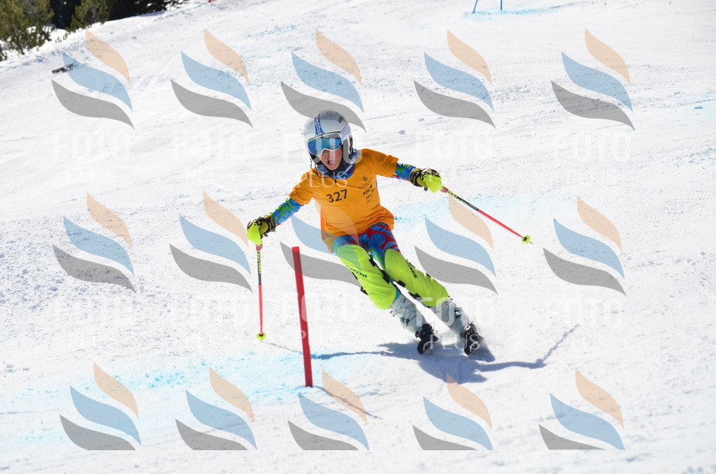 C9651 | holidayphoto