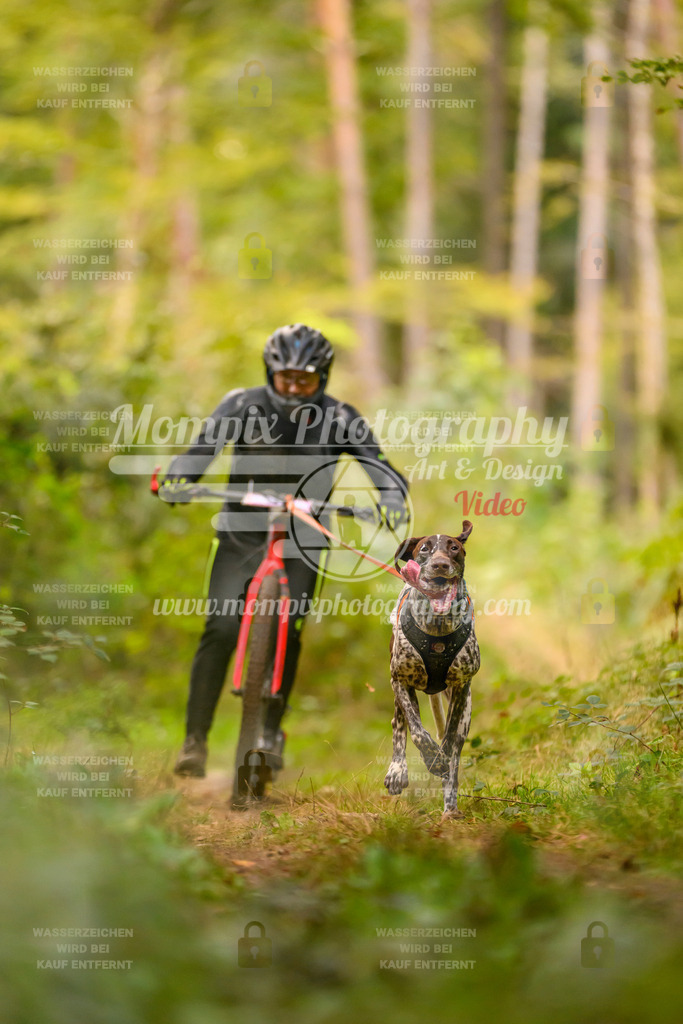 MompixPhotography_Yens2025_B2-9 | PayLife