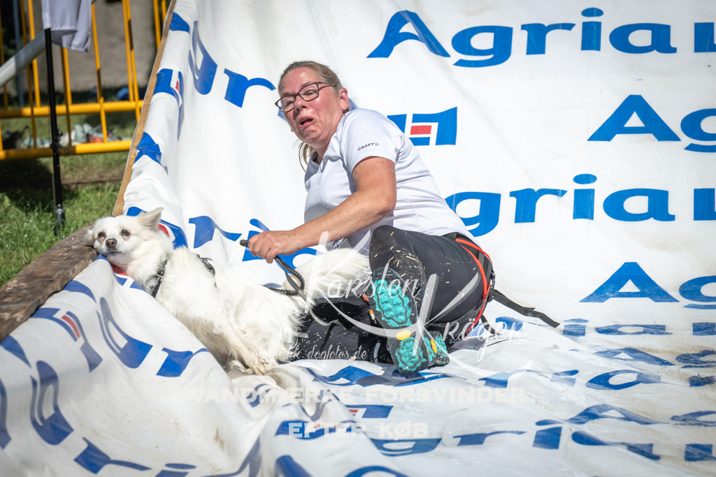 1419_ZZ93499 | kk-dogfotos