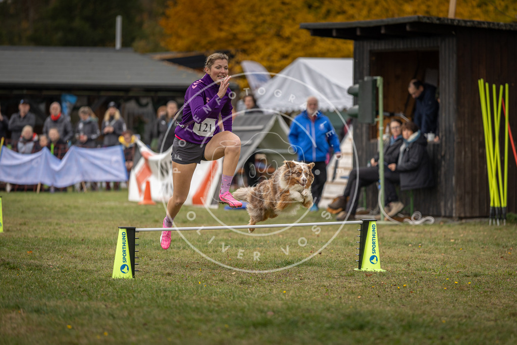 Pfotenfotografie_DV3A7371 | Hundefotografie, Tierfotograf, Pfotenfotografie, Fotoshooting Hund, Hunde Portrait, Hundesport, Hundeportraits, Heideshooting, Hunde, Sportfotograf, Hundefotograf, Turnierhundsport, THS,  - Realisiert mit Pictrs.com