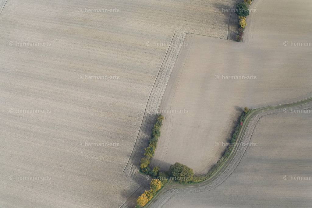 Nature-Arts-030 | Photo Foto Kunst Art schwarzweiss Bilder Rheine Münster Berlin Blumen 