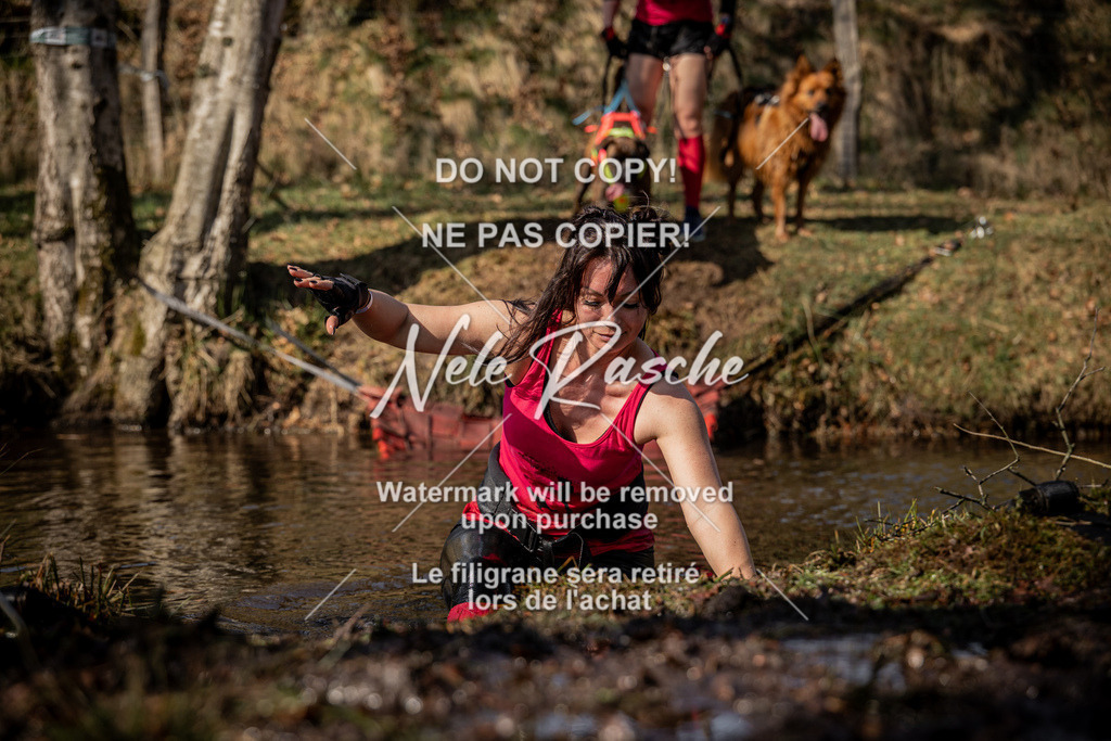 nelerasche_FS1300-1330_418 | nelerasche