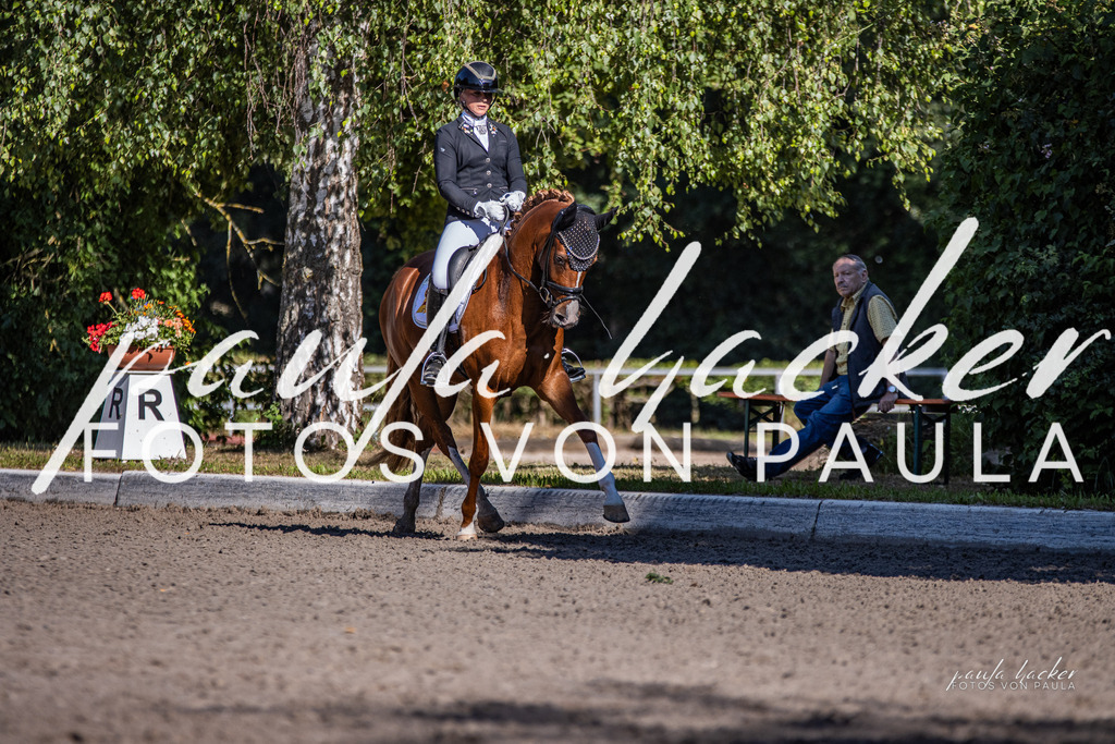 IMG_7985 | Erleben Sie dynamische Sport- und emotionale Tierfotografie in Süddeutschland mit Fotos von Paula. Spezialisiert auf Pferde- und Hundefotografie sowie Sportevents. Kontaktieren Sie mich für einzigartige und ausdrucksstarke Bilder Ihrer besonderen Momente.