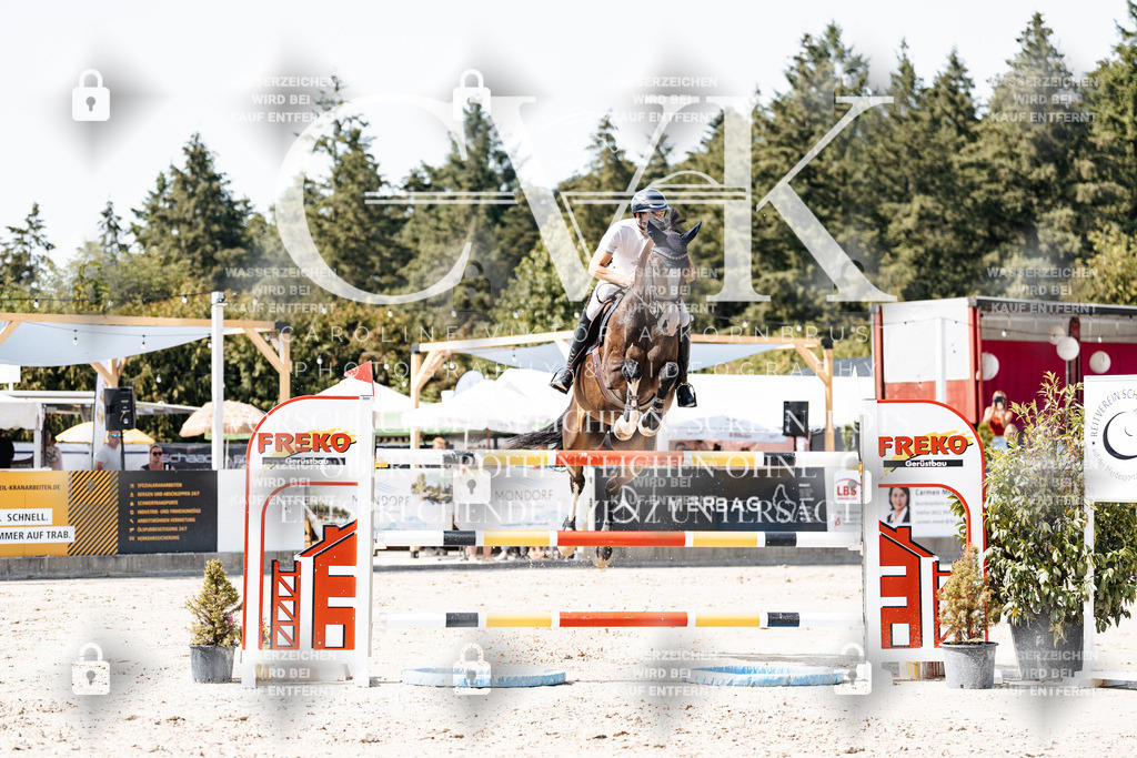 CK905178 | Turnierfotografie Pferdefotografie Trier Rheinland-Pfalz Pferdesport Reitsport Tierfotografie Sportfotografie Pferdevideo Pferdevideografie Equestrianvideography equestrianphotography  - Realisiert mit Pictrs.com