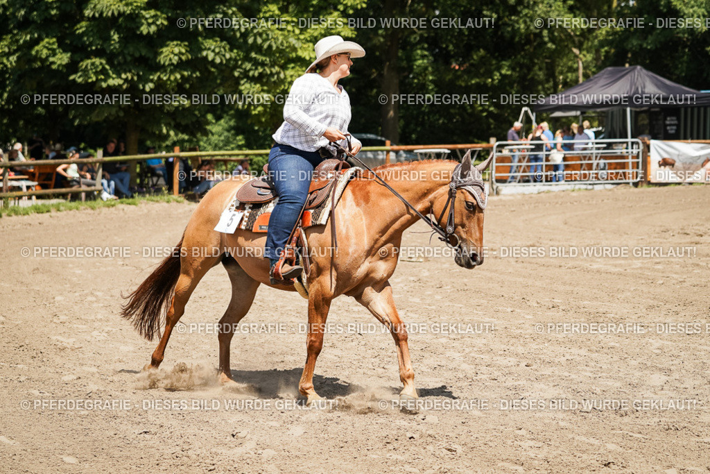 DSC07816 | Pferdegrafie