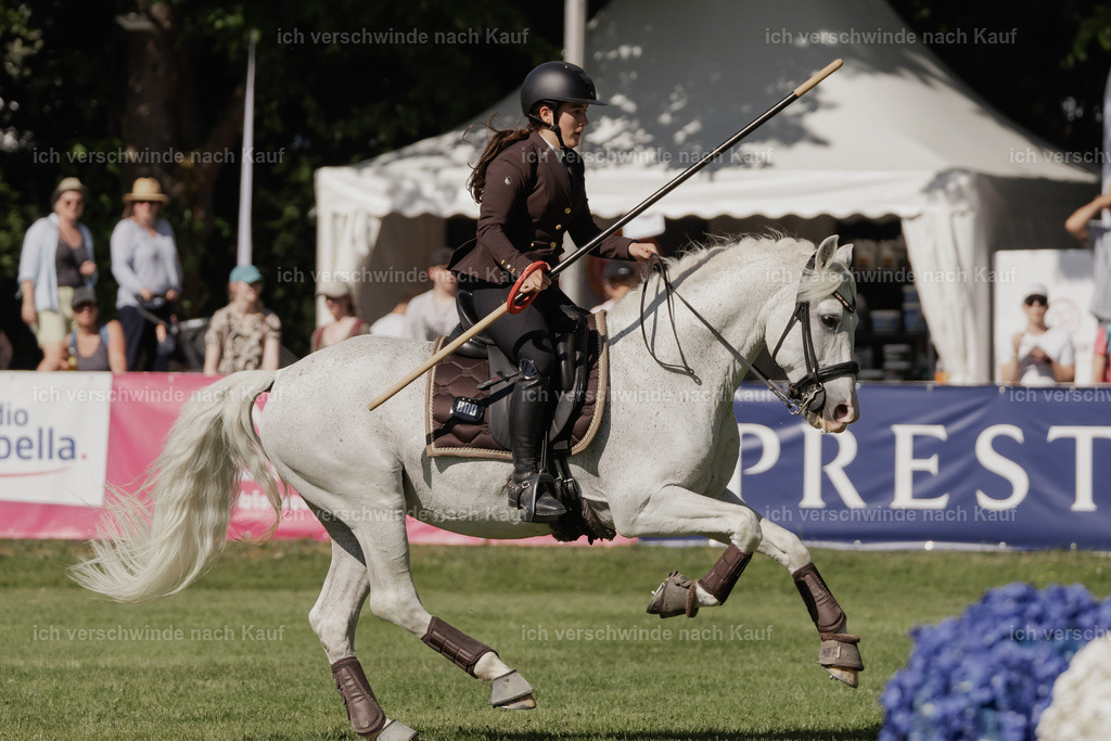 _AM10531 | Pferd International München 2025