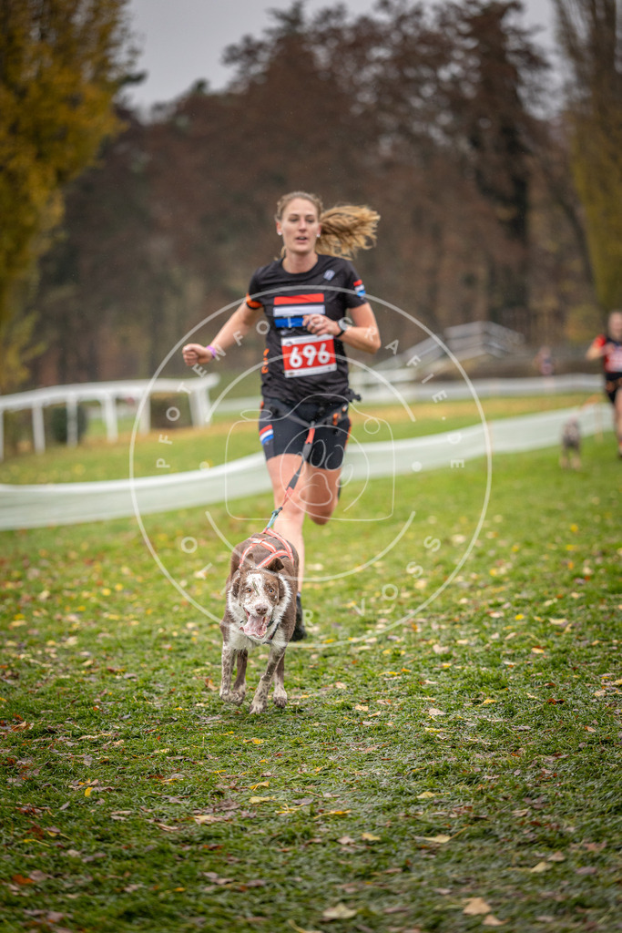 CaniXpix_DV3A9262 | Hundefotografie, Tierfotograf, Pfotenfotografie, Fotoshooting Hund, Hunde Portrait, Hundesport, Hundeportraits, Heideshooting, Hunde, Sportfotograf, Hundefotograf, Turnierhundsport, THS,  - Realisiert mit Pictrs.com