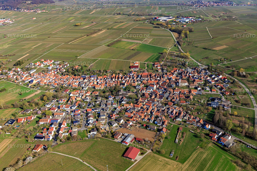 Luftbild: Dorfübersicht von Süden in Göcklingen im Bundesland Rheinland-Pfalz in Deutschland. Foto: IMG_113296.jpg vom 30.03.2019 durch Werner Riehm/FLY-FOTO.de