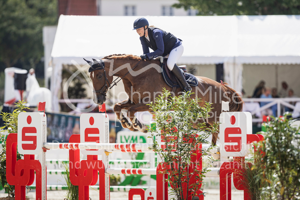 250713_BHO_M2-Spr-1-649 | Deine schönsten Turniermomente als professionelle Fotos! Entdecke hochwertige Pferdesport-Fotografie im Online-Shop. Jetzt Fotos finden & bestellen!