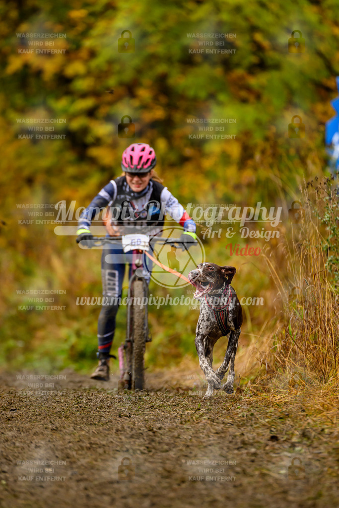 MompixPhotography_ICF_WC_2024_SA_DS_-147 | PayLife