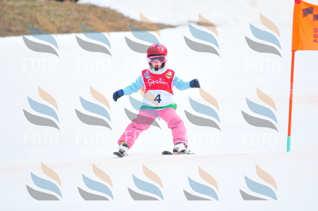 C0615 | holidayphoto