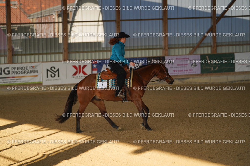 DSC08087 | Pferdegrafie