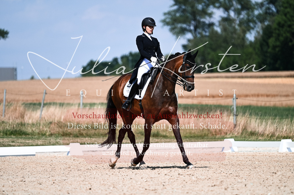 DSC_3056 | Pferde- und Turnierfotografie in Westsachsen. Pferdeportraits, Auftragszeichnungen und intuitive Kunst.