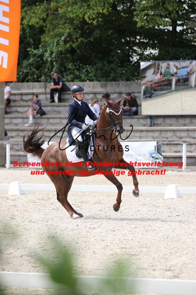 IMG_1802 | lmwpictures - Realisiert mit Pictrs.com