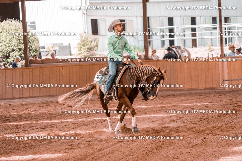 NE300779 | dv-media-shop - Realisiert mit Pictrs.com