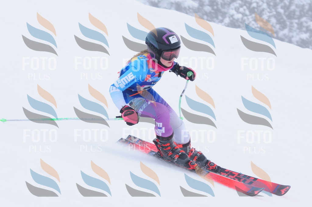 C2784 | holidayphoto