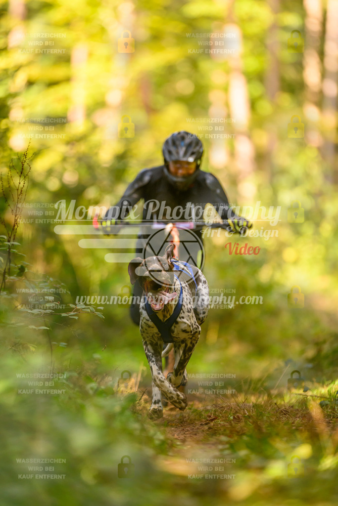 MompixPhotography_Yens2025_B3-11 | PayLife